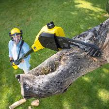 Lawn Maintenance Plans in Franklin, KY